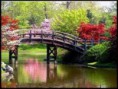 /album/paisajes-hermosos-/images-9-jpg/